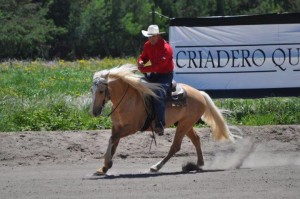 Quimpomay comendador