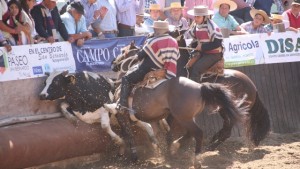 REMOLINO Y RIO RAHUE