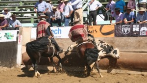 TOLEDO Y MUÑOZ CAMPEONES EN NOS
