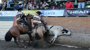 CAMPEONES MARTIN Y LABRIN