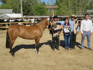 CAMPEONA POTRANCA FUGITIVA