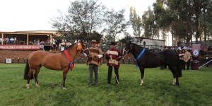 CAMPEONES NACIONALES