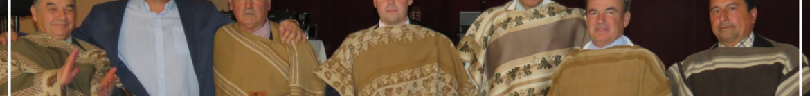 TEMPORADA 2024-2025 (5)