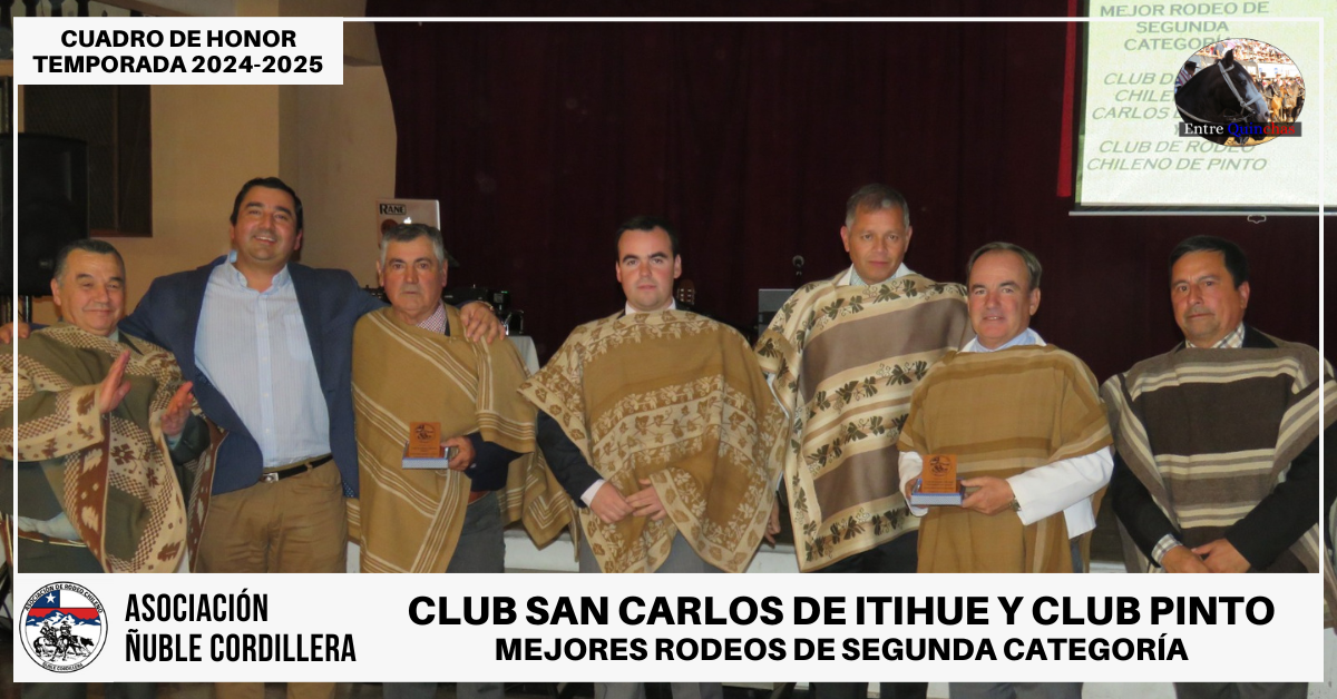 TEMPORADA 2024-2025 (5)