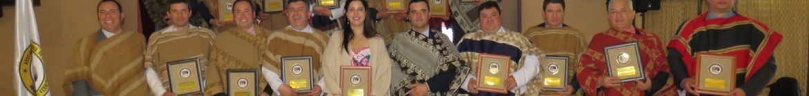 COLABORADORES-T-24-25-CRIADORES