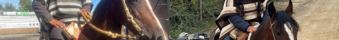 Marco-y-Lisette-Castillo