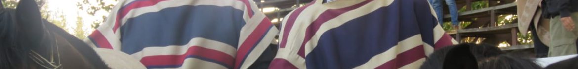 FUENTEALBA_Y_ACUNA_CATO