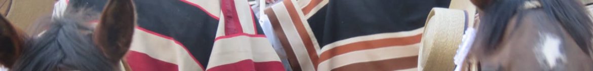 GONZALEZ-Y-RODRIGUEZ