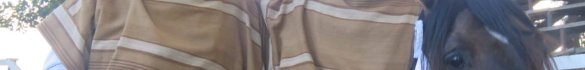 IRAIRA-Y-GUTIERREZ_CATO