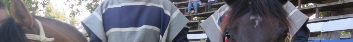 MARTIN-Y-GATICA_CATO