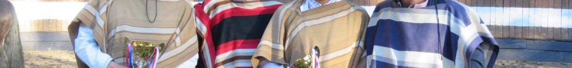 IRAIRA_Y_GUTIERREZ_PINTO