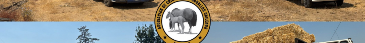 AYUDAS-INCENDIOS-2026