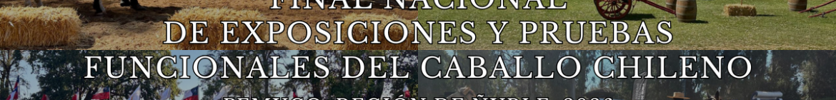 FINAL-NACIONAL-2026-1