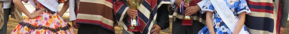 GUIÑEZ_Y_SALAZAR_BULNES