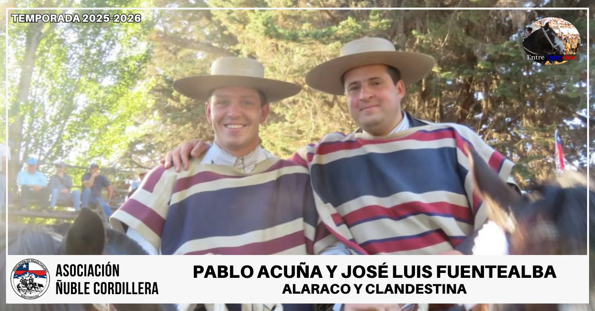 TEMPORADA 2025-2026 (4)